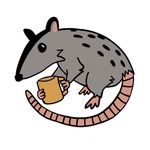 Logo: A cartoon of a friendly-looking possum holding a mug.